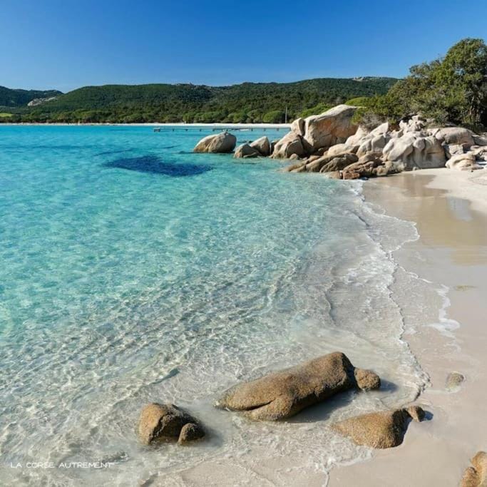 Appartement 4 pers vue sur la baie de Santa Giulia Apartment in Porto-Vecchio