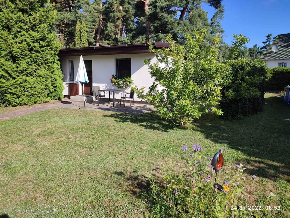 Property building, Summer