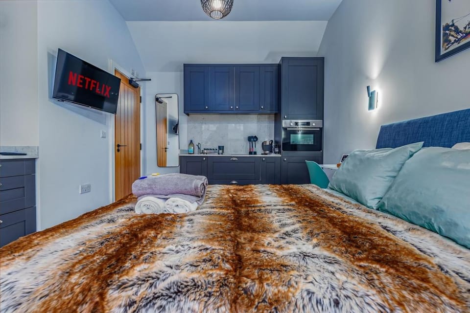 Bed, TV and multimedia, Kitchen or kitchenette, Photo of the whole room, Seating area, Bedroom, oven, stove