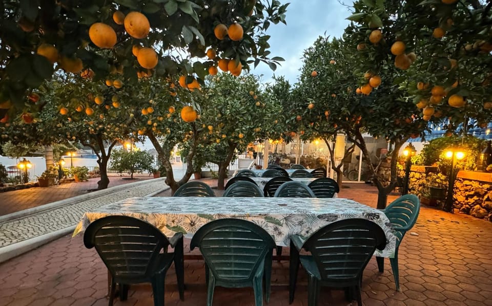 Quinta Jardim das Palmeiras, T2 n 8 , Algoz Farm Stay in Faro District
