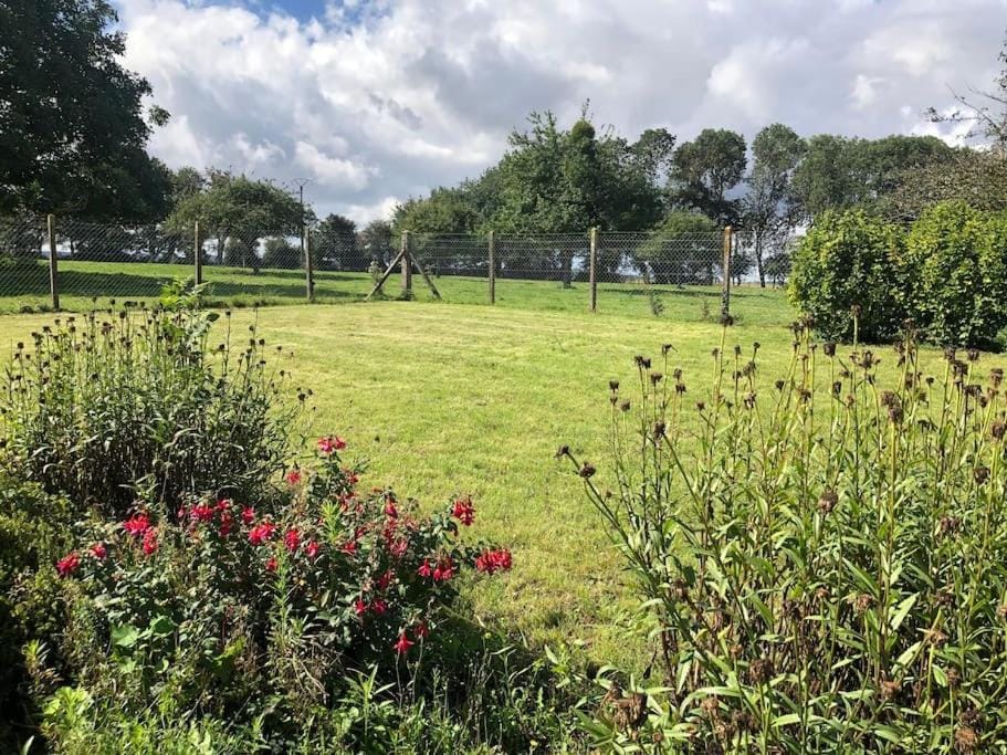 Natural landscape, Garden, Garden view