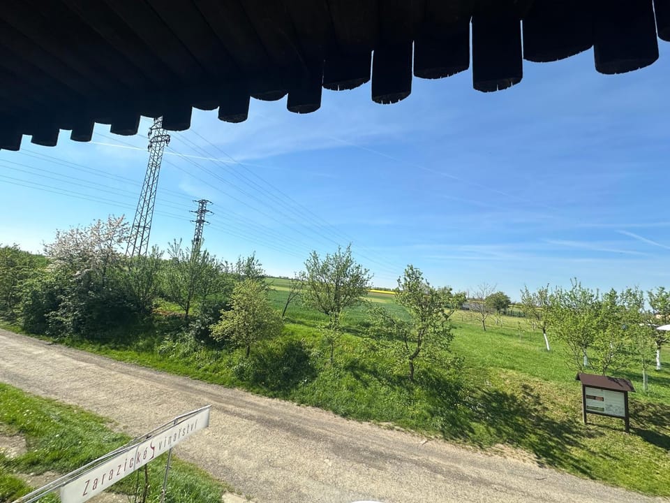Spring, Day, Natural landscape, Garden, View (from property/room)