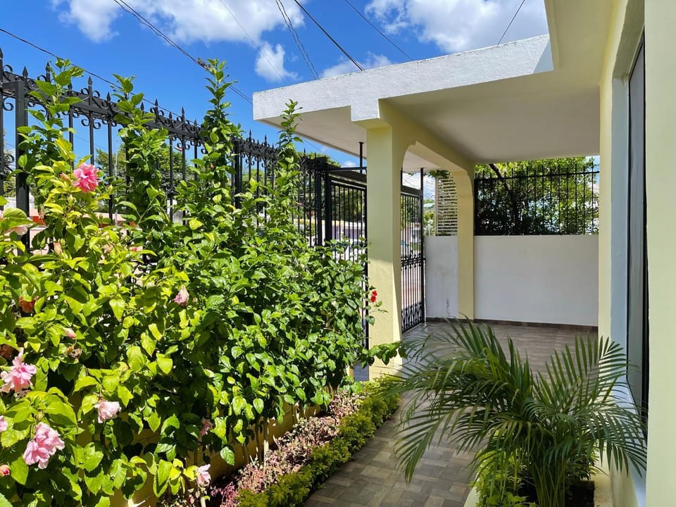 Garden view