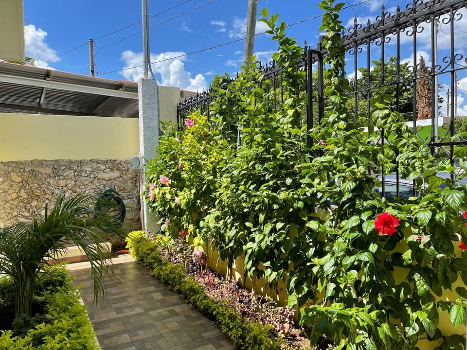 Garden, Garden view