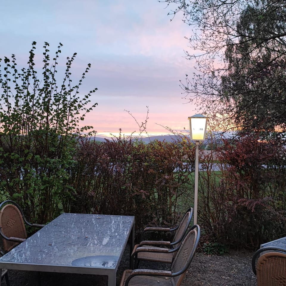 Spring, Garden, Sunset
