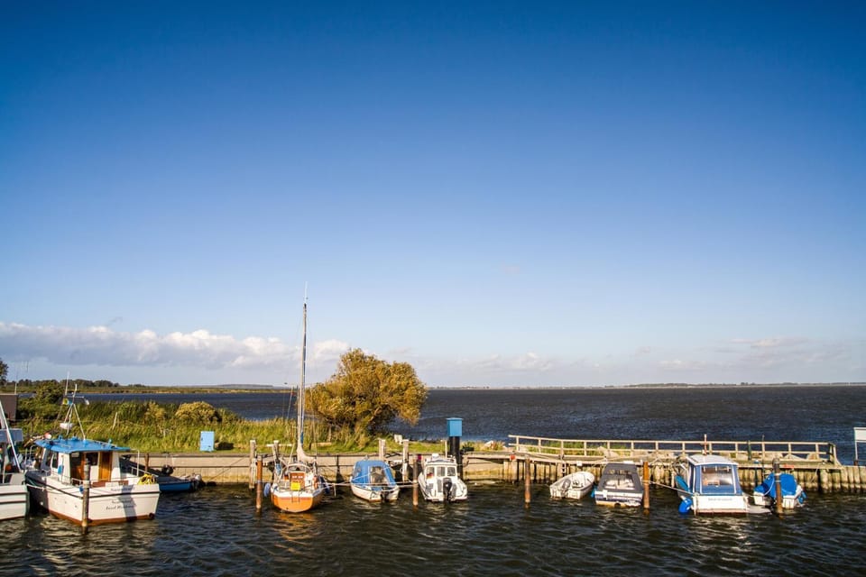 Summer, Sea view