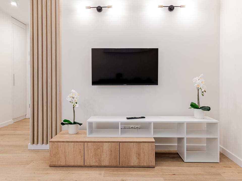 TV and multimedia