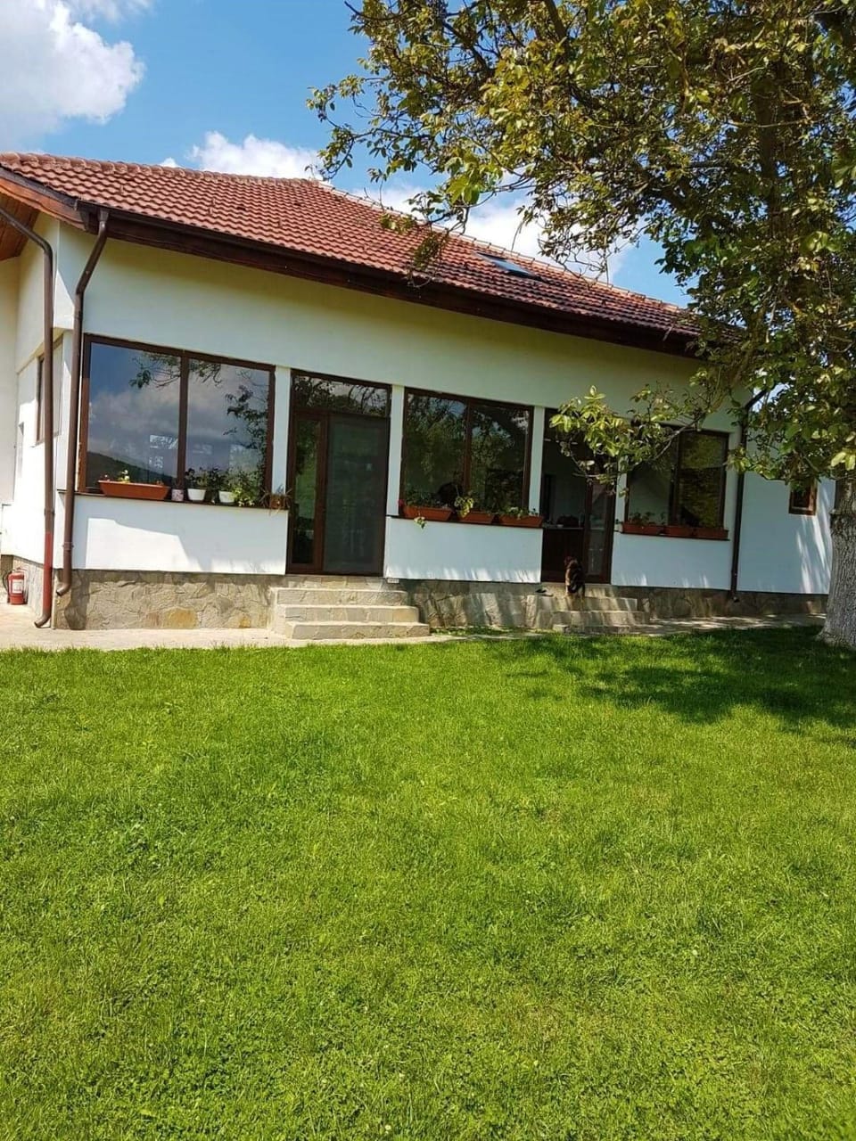 Pensiunea Bradu Bed and Breakfast in Prahova, Romania