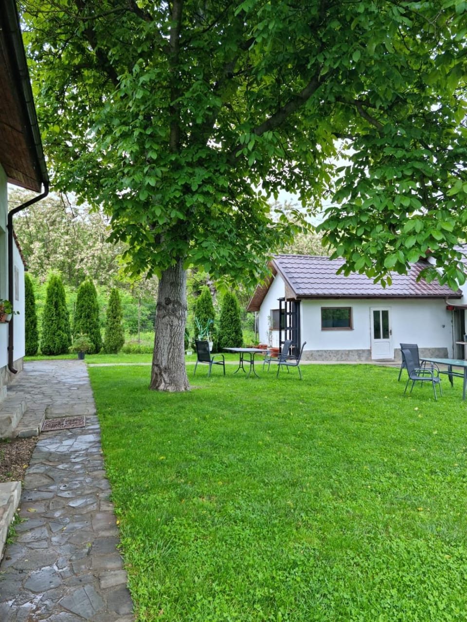 Pensiunea Bradu Bed and Breakfast in Prahova, Romania