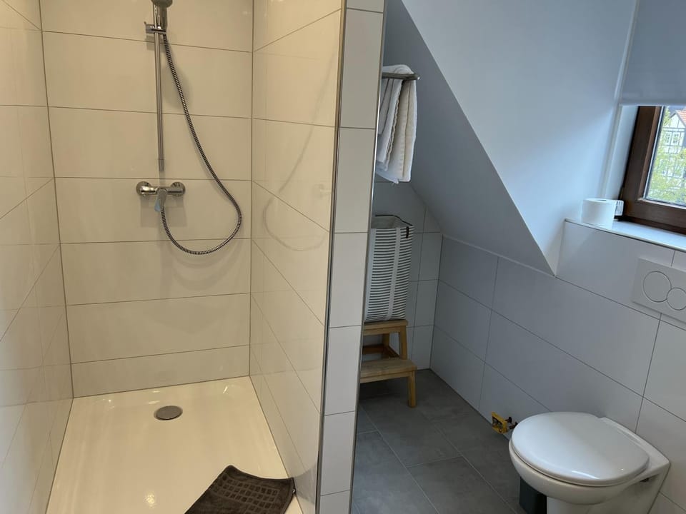 Shower, Toilet