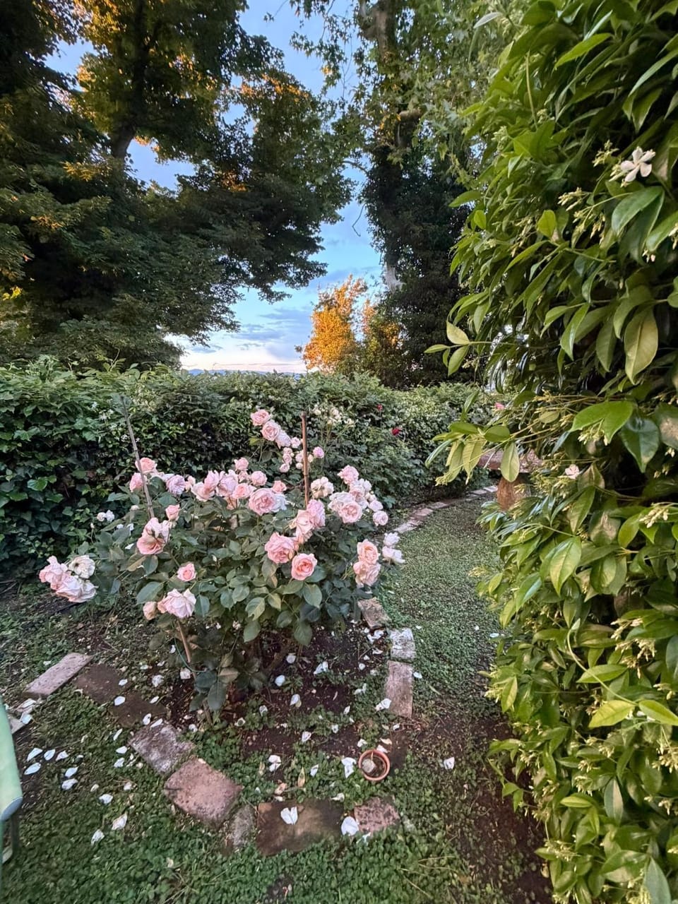 antica Villa con Giardino Villa in Umbria