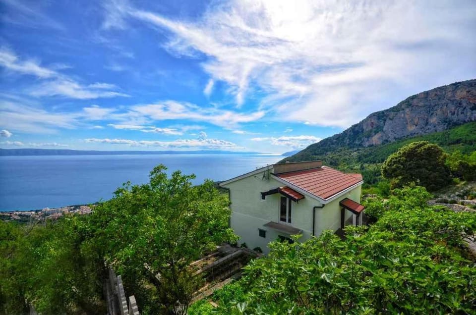 Property building, Summer, Sea view