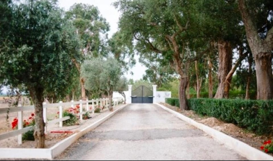 Herdade de Santa Maria Bed and Breakfast in Santarém District, Portugal