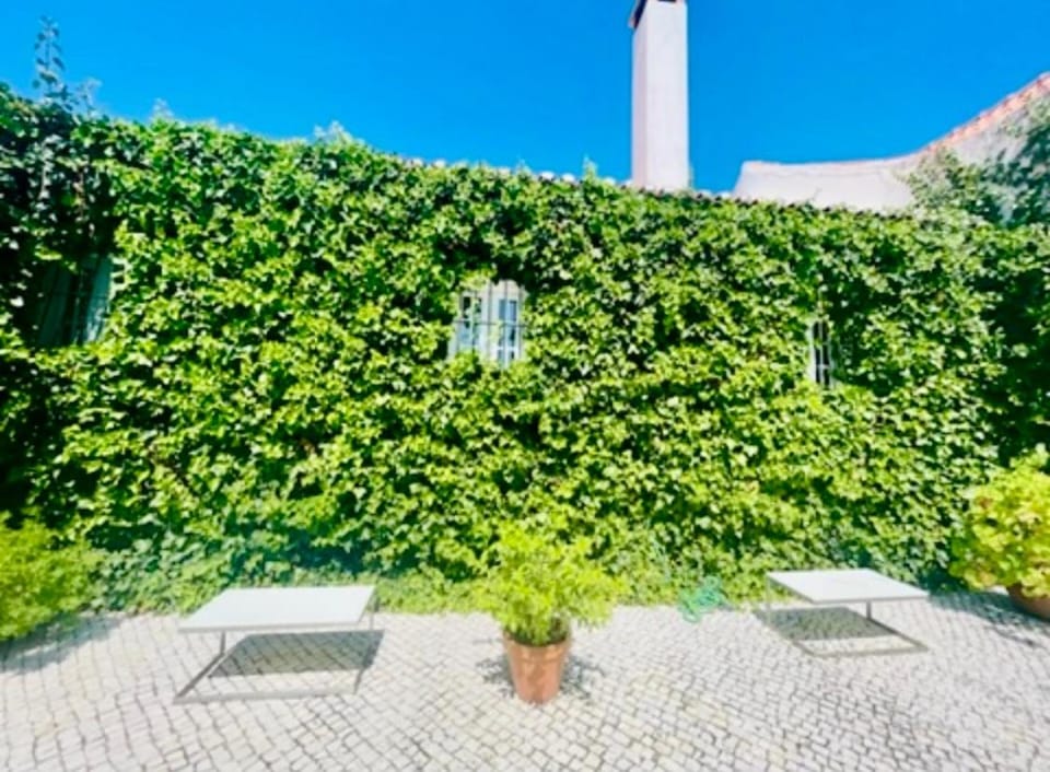 Patio, Garden, View (from property/room), Balcony/Terrace, Inner courtyard view