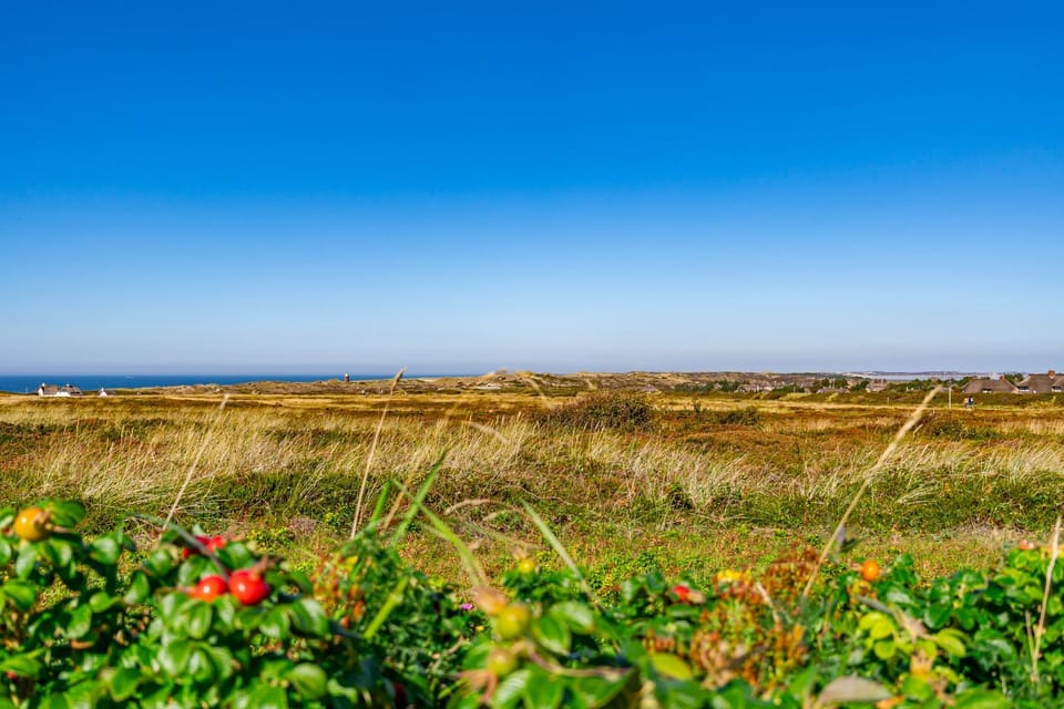Natural landscape