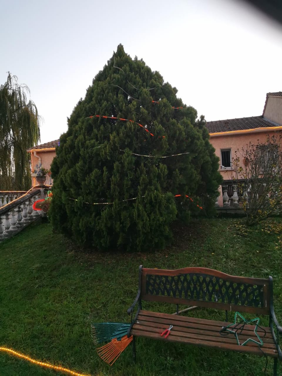 Garden, Garden view