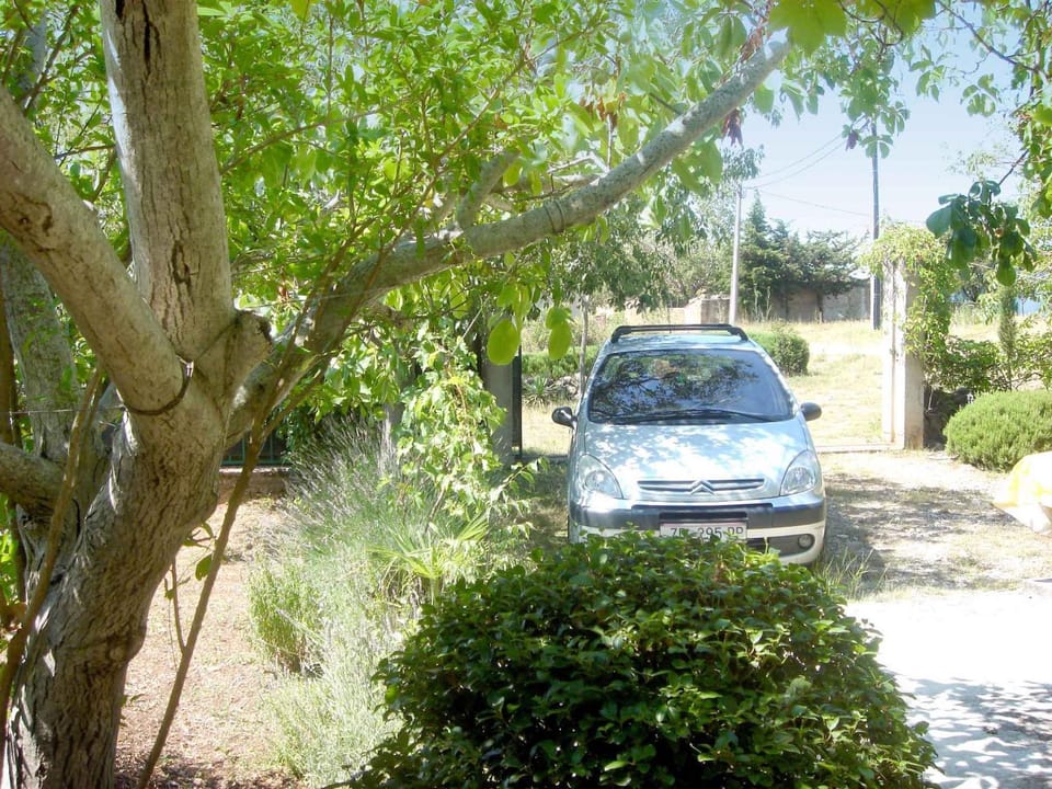 Summer, Parking