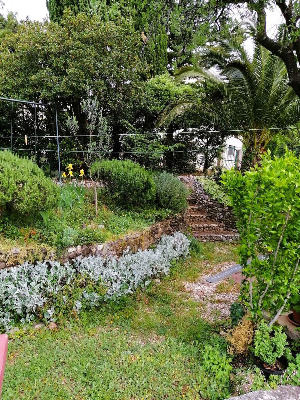 Summer, Garden