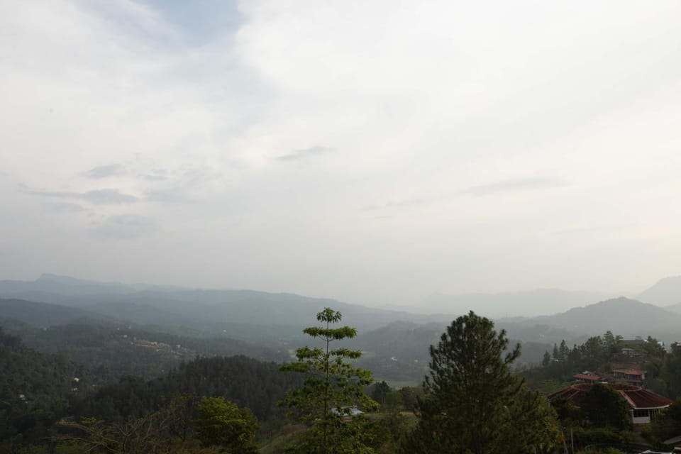 Mountain view