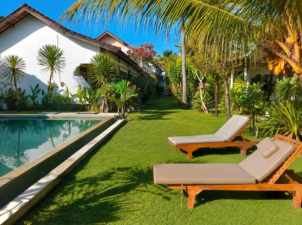 Garden, Garden view, Swimming pool