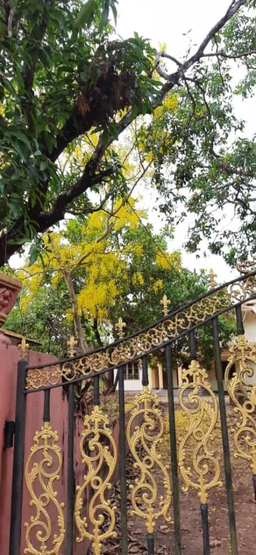 Souparnika Homestay Vacation rental in Kerala