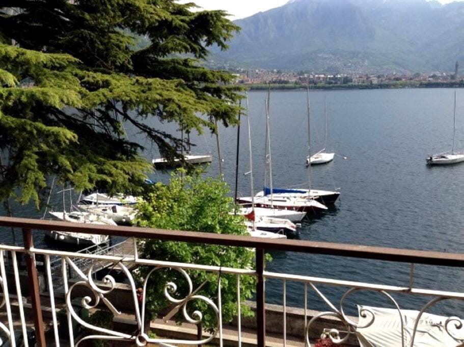 Lake view