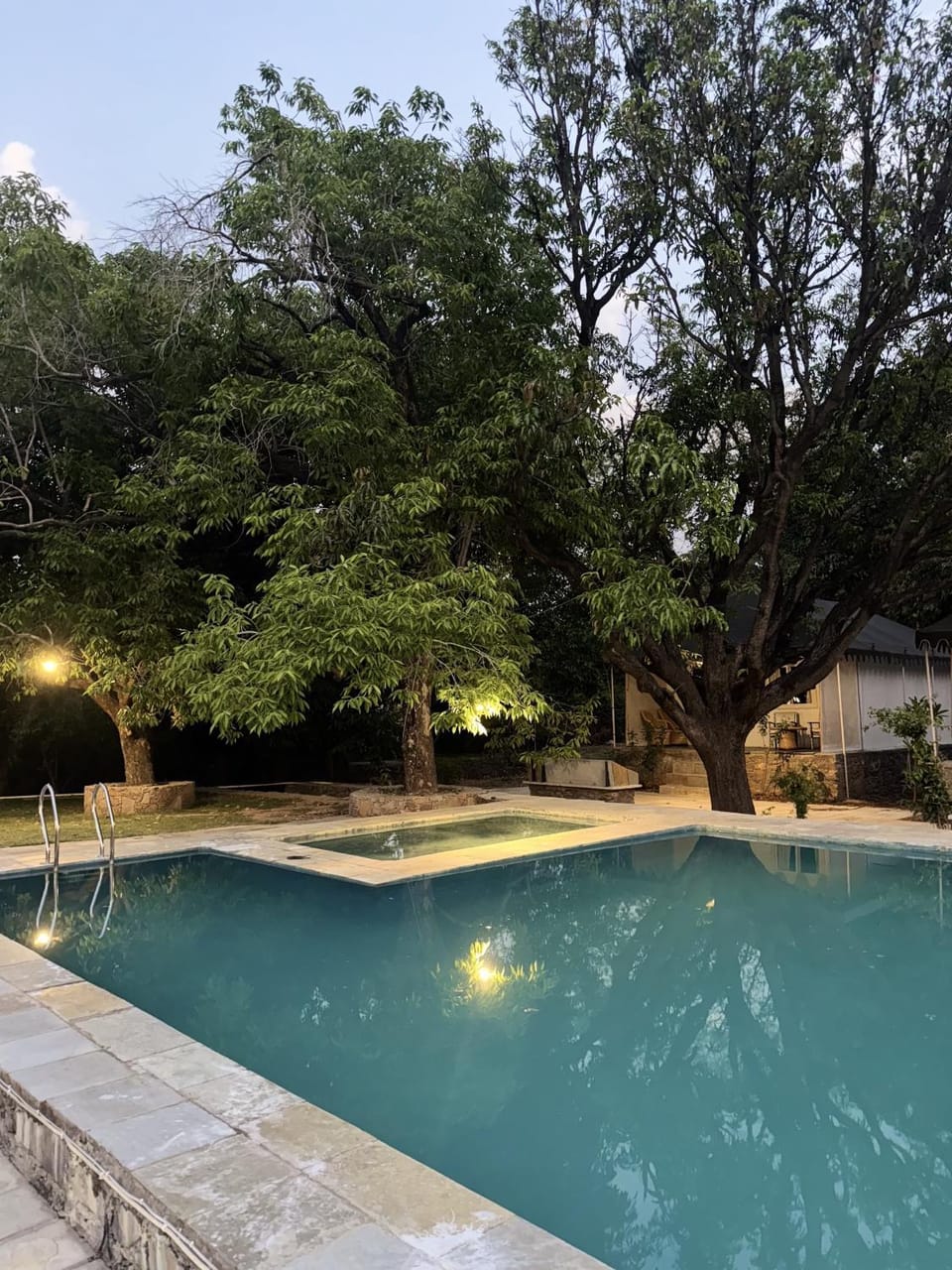 The chocolate frog Luxury tent in Gujarat