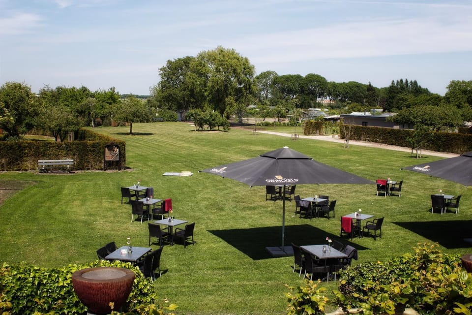 Summer, Garden, Food and drinks, Garden view