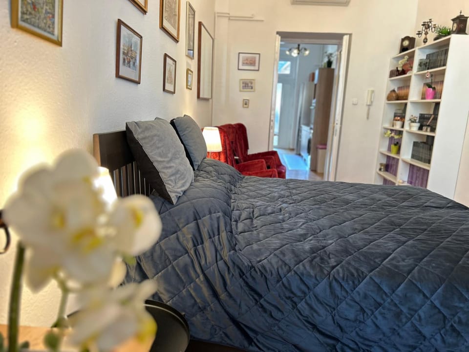 Rákóczi Boulevard 47 Apartment in Budapest