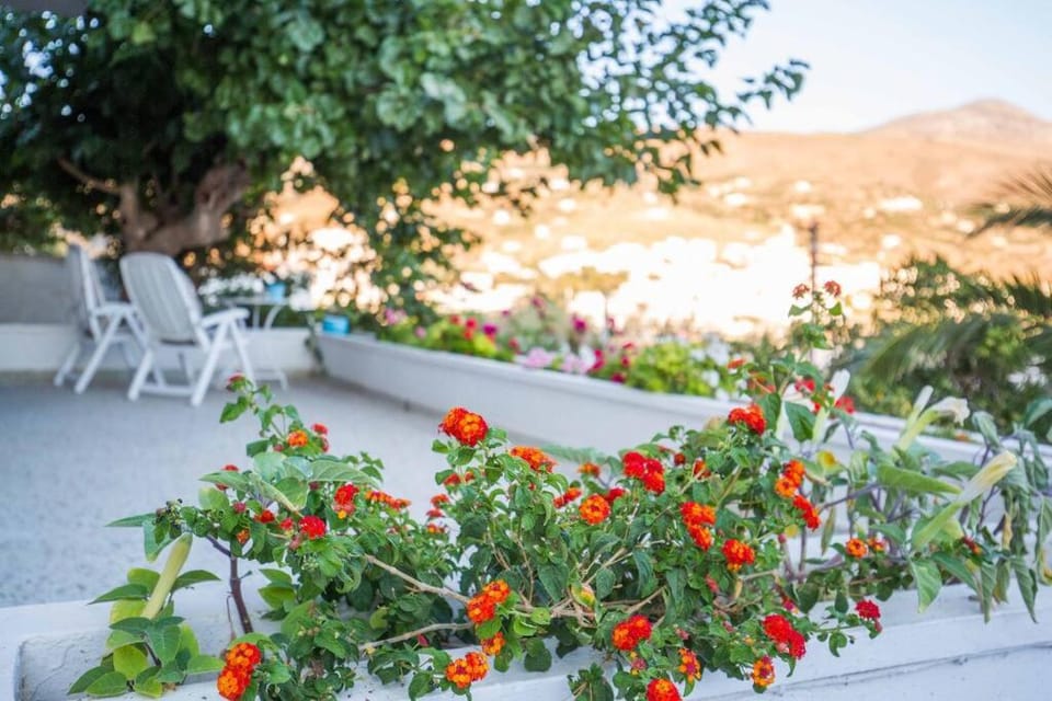 The cozy nest:) House in Decentralized Administration of the Aegean