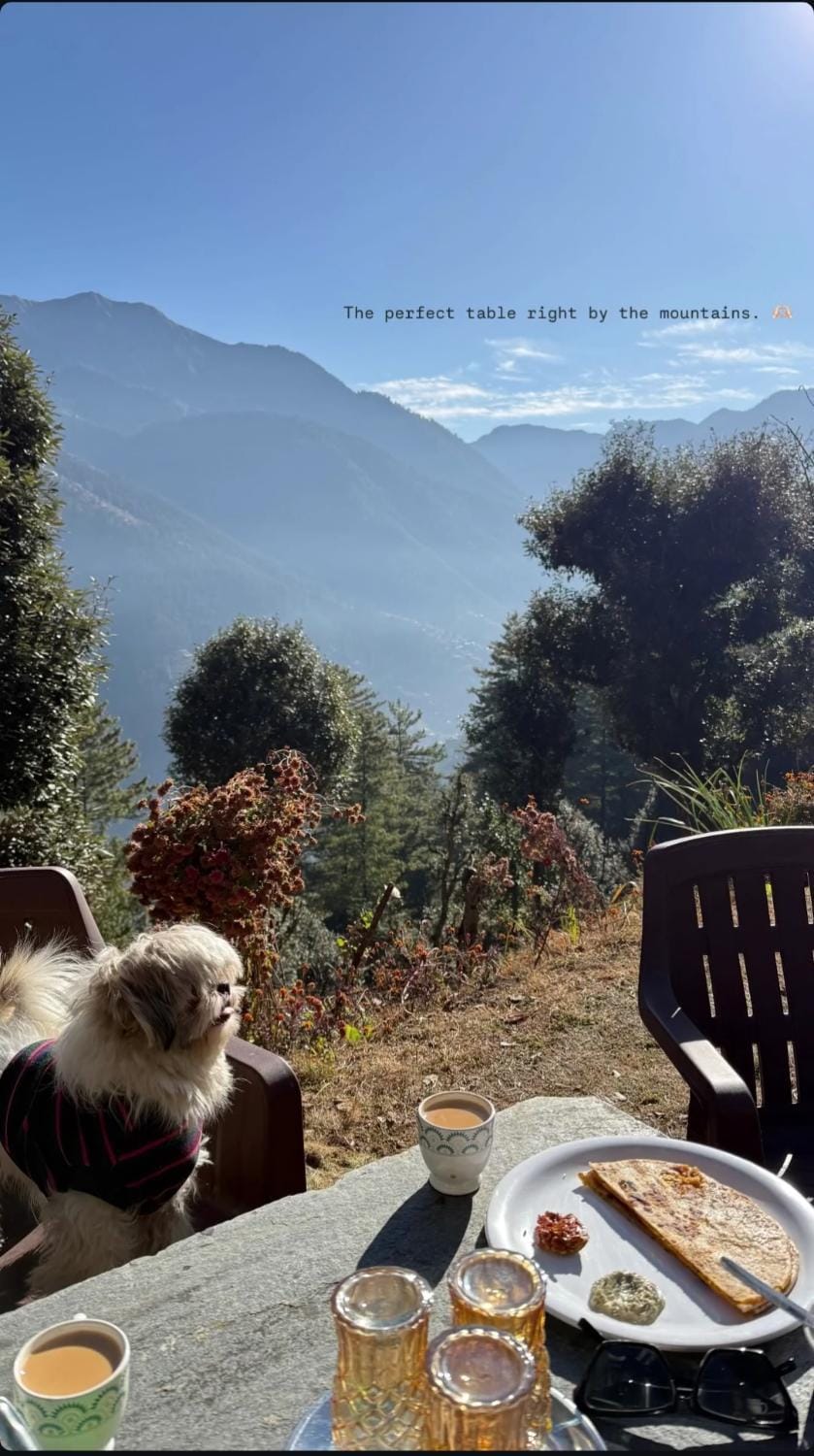 Day, Natural landscape, Food and drinks, Food, Mountain view, Breakfast, Continental breakfast