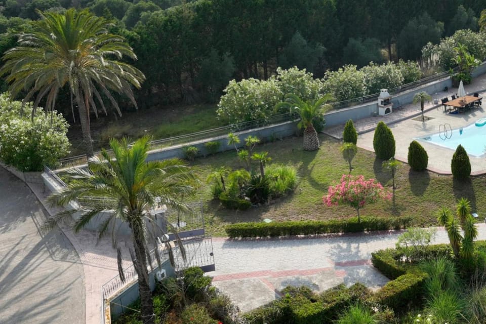 Day, Natural landscape, Garden, Garden view, Pool view, Swimming pool