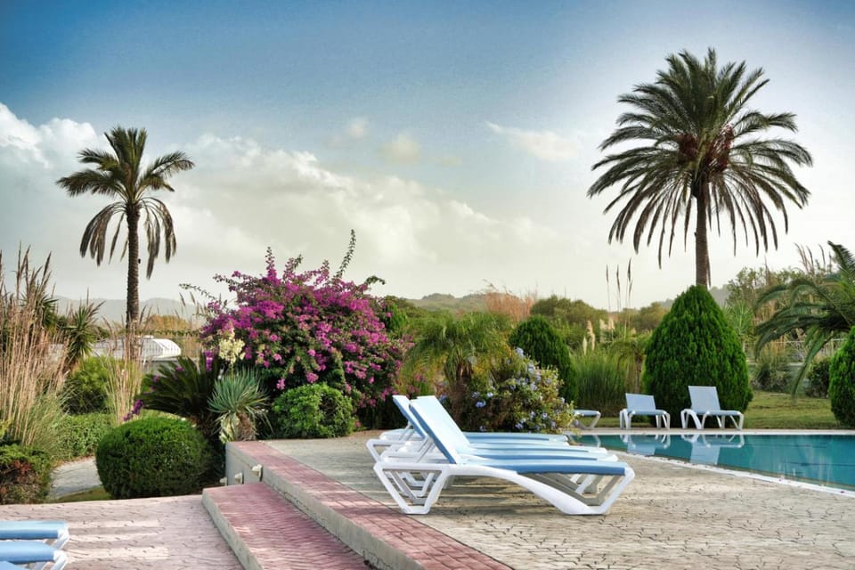 Day, Natural landscape, Garden, Garden view, Pool view, Swimming pool, sunbed