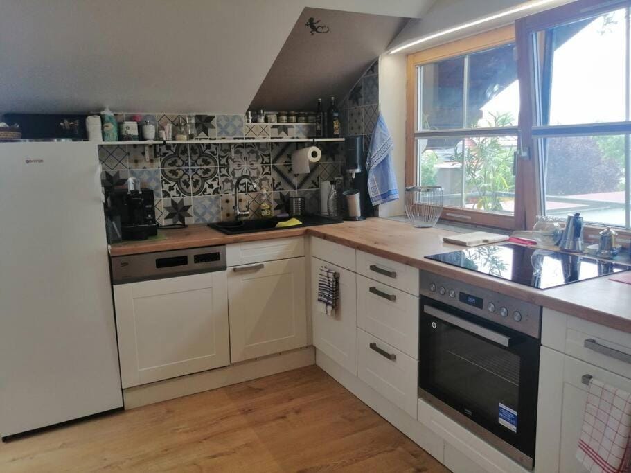 Kitchen or kitchenette, dishwasher, stove