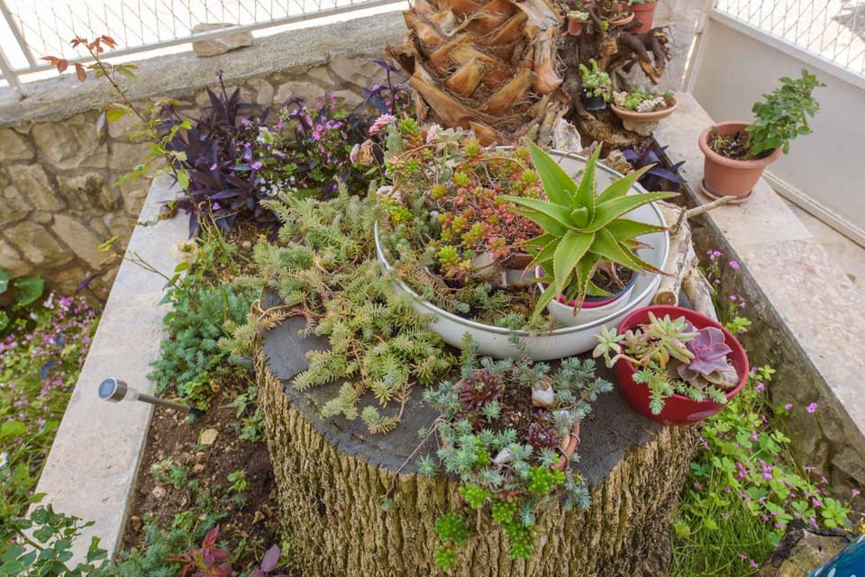 Nearby landmark, Summer, Garden