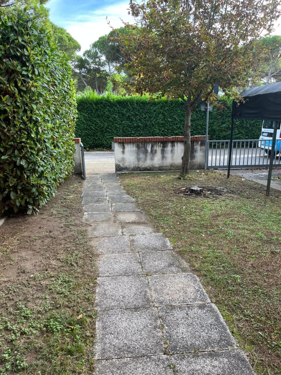 Property building, Garden, Garden