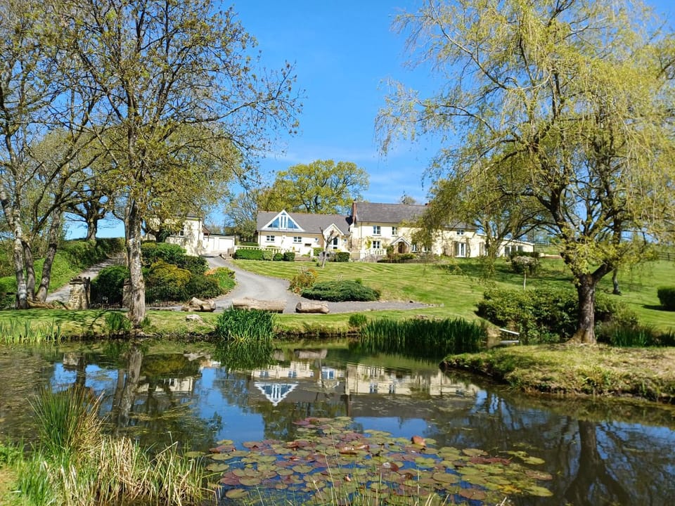 Natural landscape, Garden, View (from property/room)