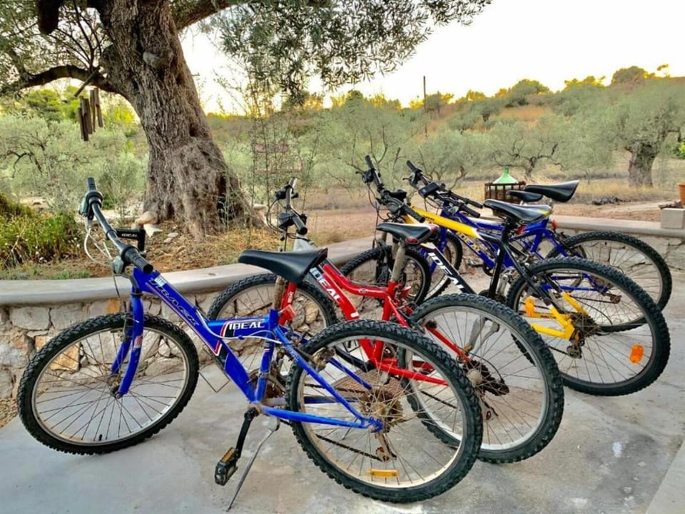 Cycling