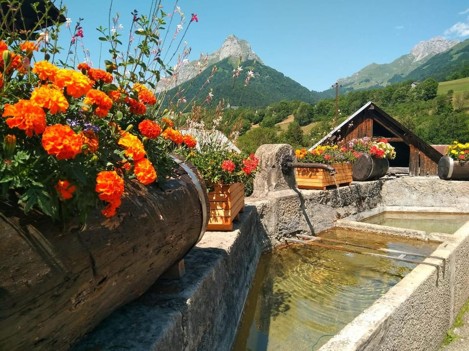 Mountain view