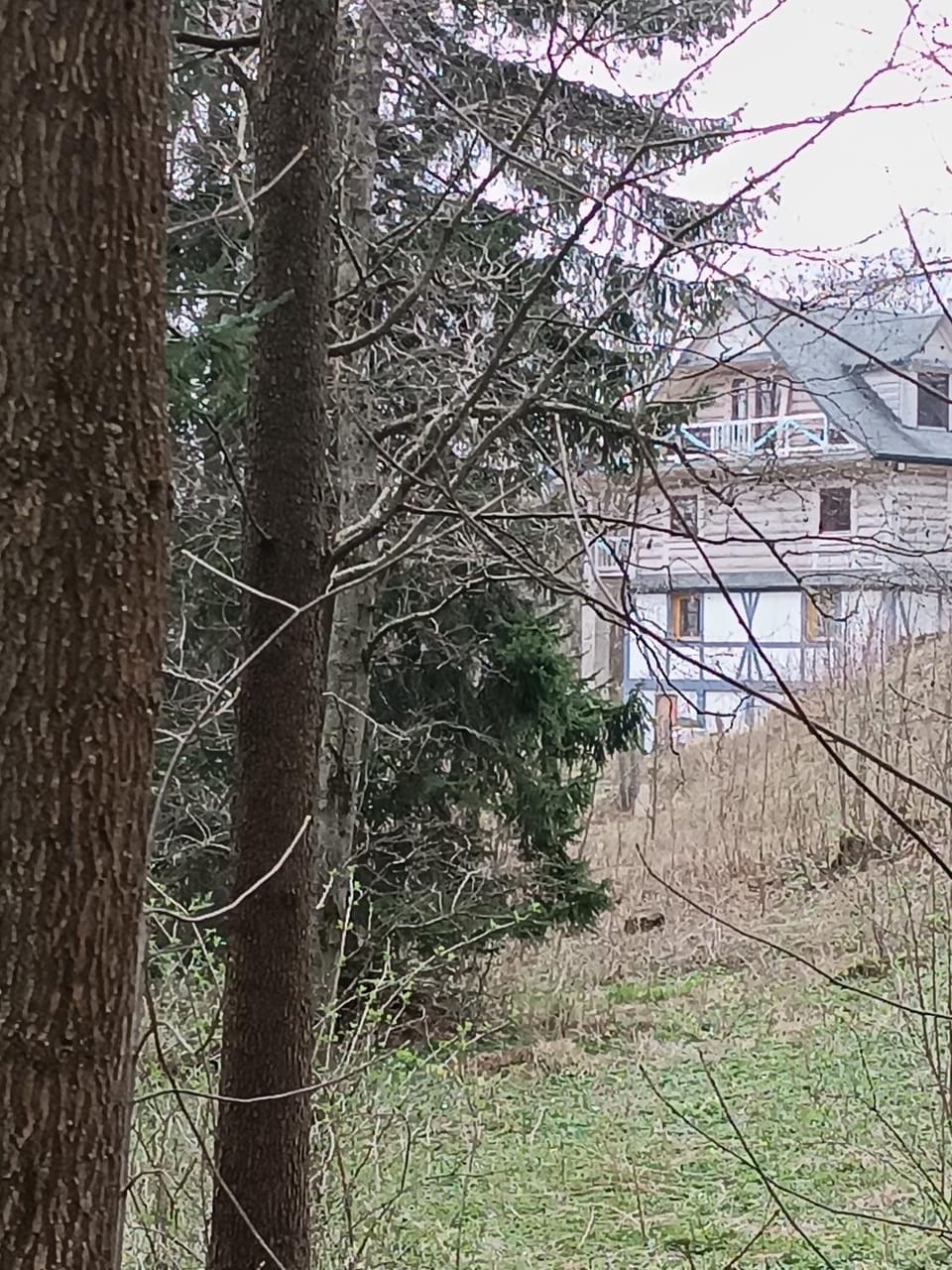 Property building, Garden view