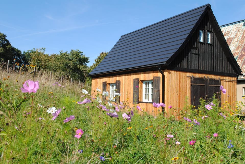Property building, Spring, Day, Garden, Garden view
