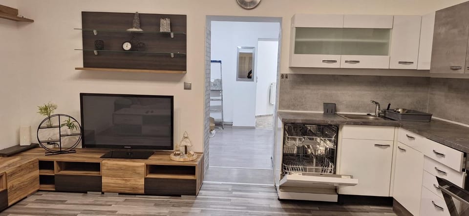 TV and multimedia, Kitchen or kitchenette, dishwasher, minibar, pet friendly, stove