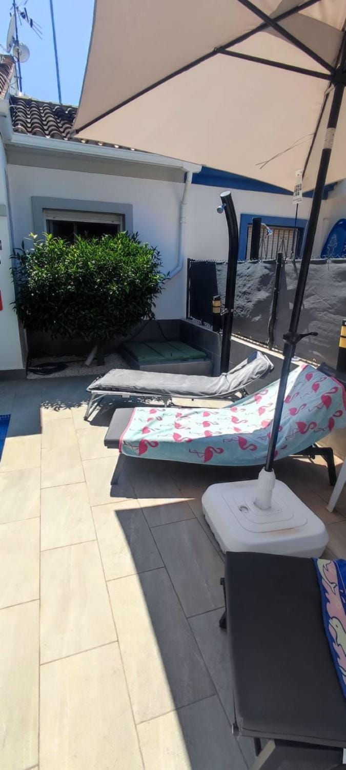 Swimming pool, sunbed