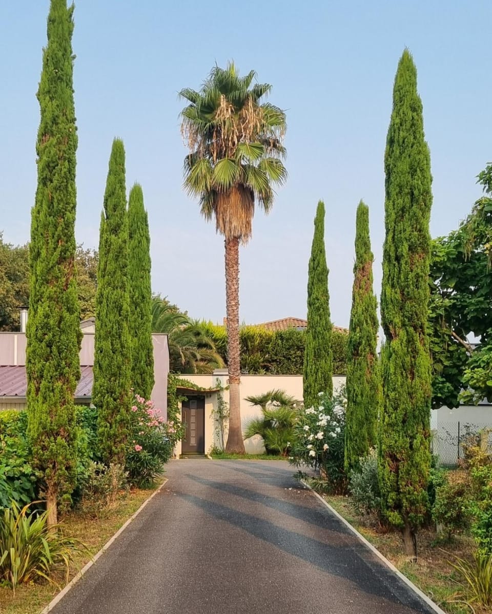 Property building, Garden view