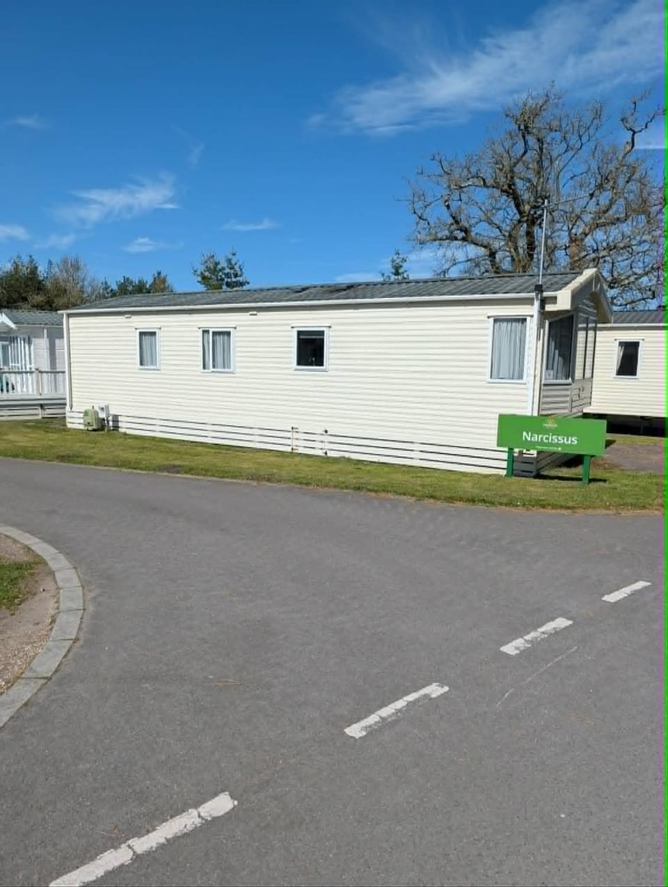 Narcissus at Oakdene with FREE passes! Campground/ 
RV Resort in East Dorset District