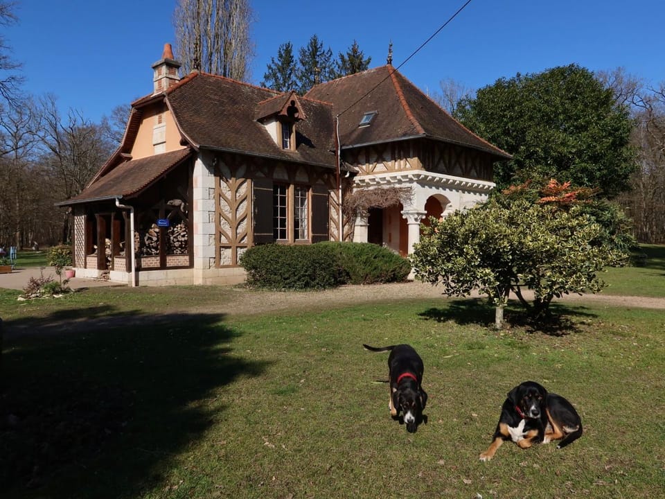 Property building, Garden, Garden view