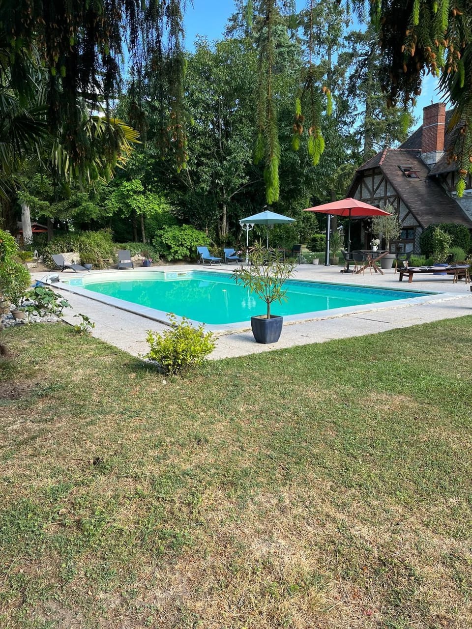 Natural landscape, Garden, Garden view, Pool view, Swimming pool
