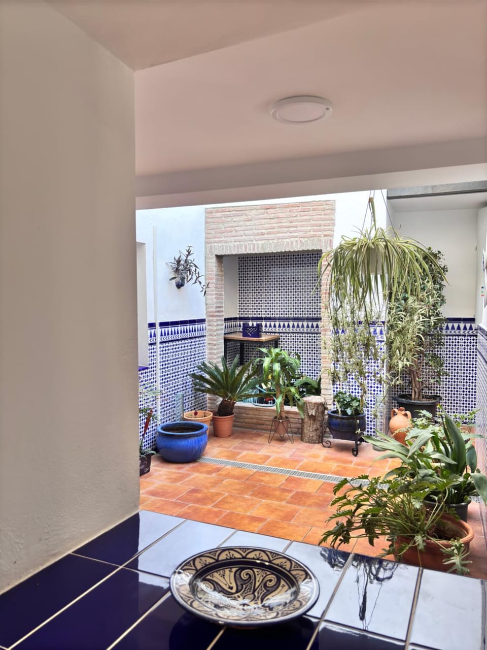 Patio, Day, Garden, Garden view