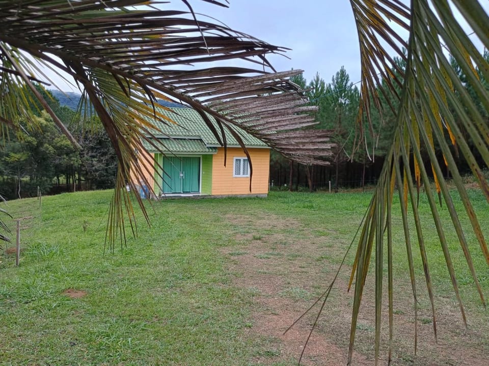 Casa das Palmeiras House in State of Santa Catarina