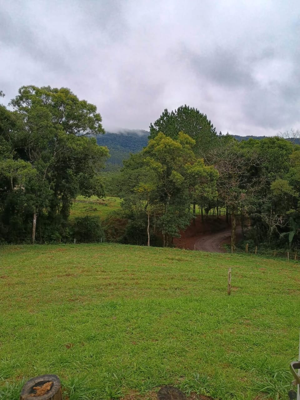 Casa das Palmeiras House in State of Santa Catarina